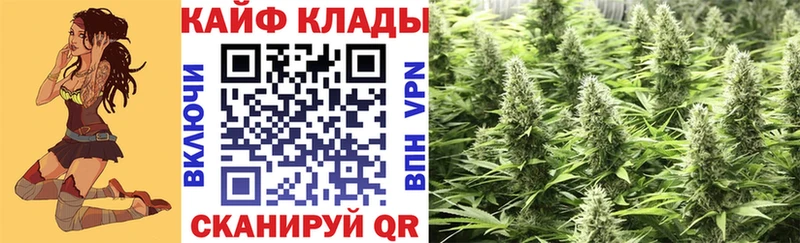 Где купить наркоту Ессентуки АМФЕТАМИН  Меф  ГАШ  Галлюциногенные грибы  COCAIN 