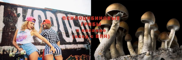 прущий лед Пересвет