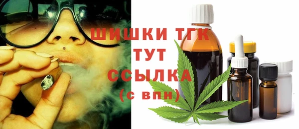 прущий лед Пересвет