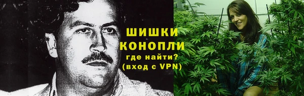 прущий лед Пересвет