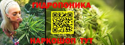каннабис Волжский