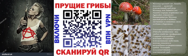 Галлюциногенные грибы прущие грибы  даркнет сайт  Ессентуки 