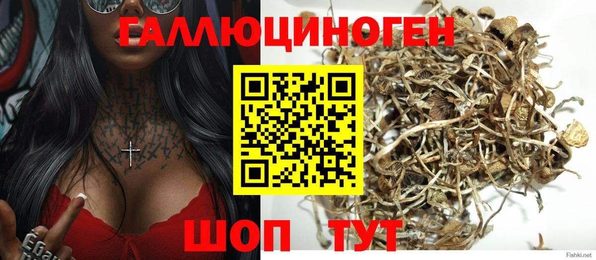 Псилоцибиновые грибы ЛСД Ессентуки