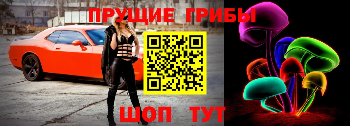 Ессентуки  как найти наркотики  Галлюциногенные грибы мицелий  Вход с VPN  Псилоцибиновые грибы MAGIC MUSHROOMS 